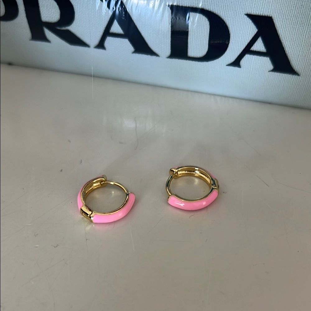 Pink and Gold Hoop Earrings